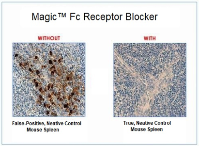 Magic™ Fc receptor blocker