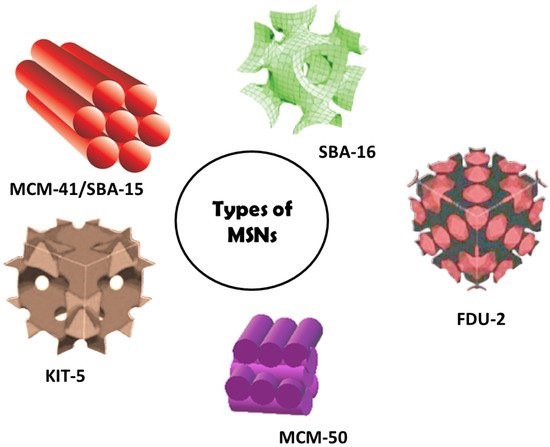 不同类型的中孔二氧化硅纳米粒子（MSN）的模型