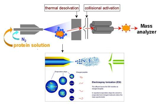 ESI-MS质谱工作原理
