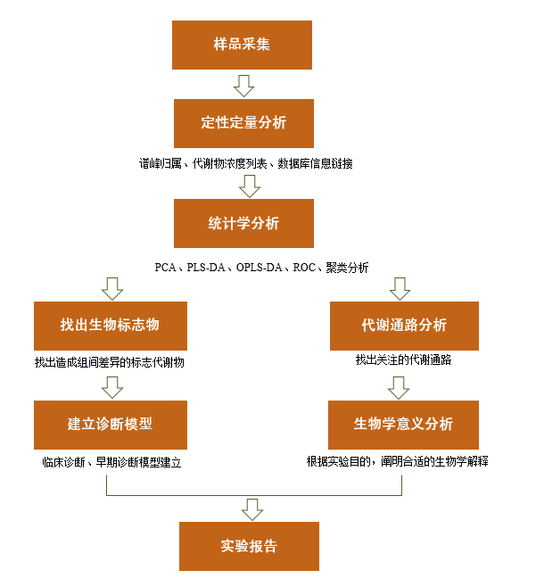 代谢组学的研究路线