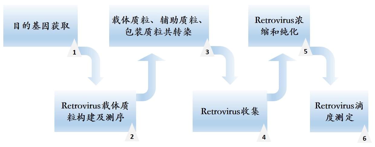 逆转录病毒服务