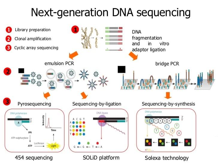 三种具有代表性的下一代测序技术 