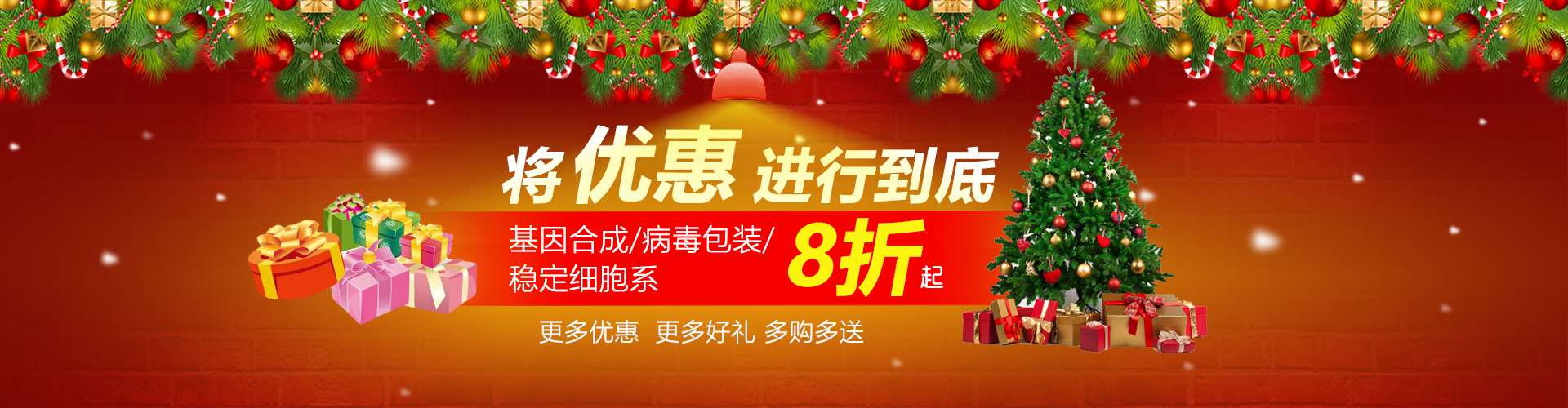 安必奇优势服务大促销