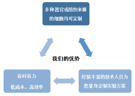 细胞永生化服务