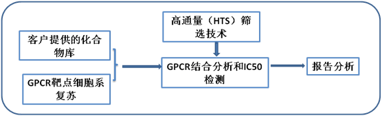 安必奇GPCR筛选的一般步骤
