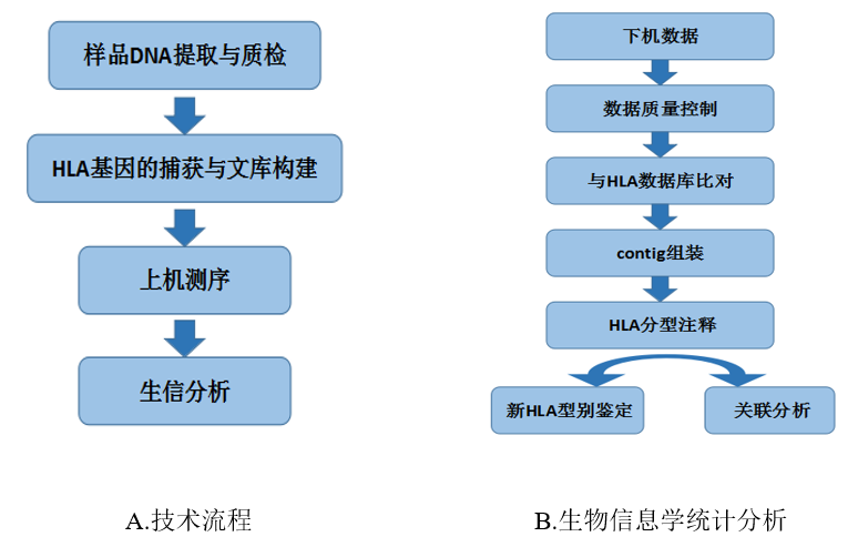 技术原理