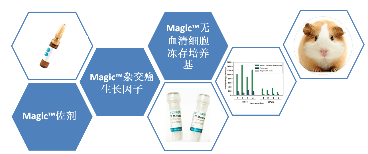 Magic™ 抗体制备试剂