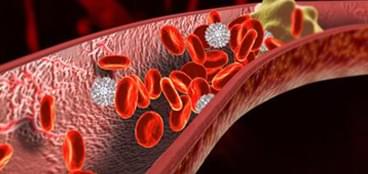 心脑血管疾病药理学