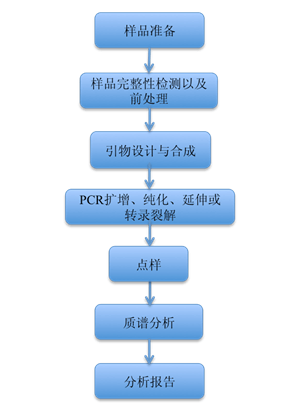 技术路线