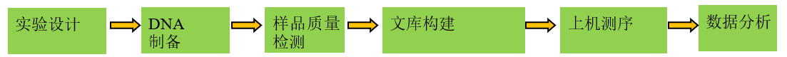病毒全基因组测序技术流程
