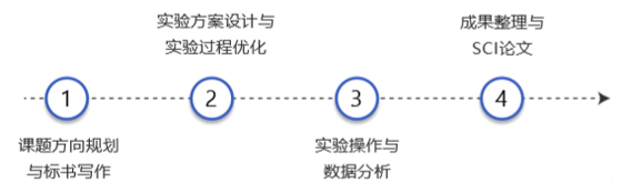 整体课题外包服务