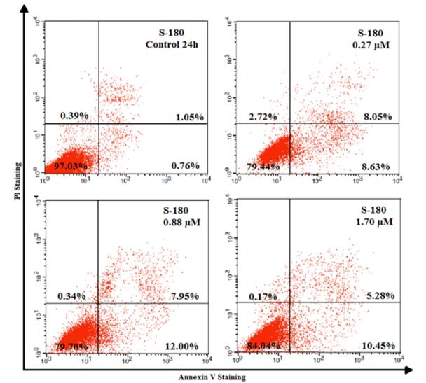 使用膜Annexin-V/PI通过流式细胞仪分析S-180细胞凋亡