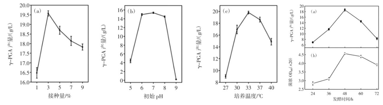 枯草芽孢杆菌发酵生产聚-γ-谷氨酸