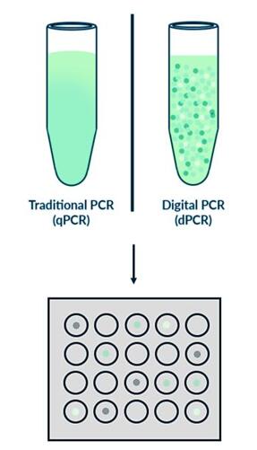 qPCR与数字PCR