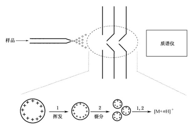  电喷雾电离