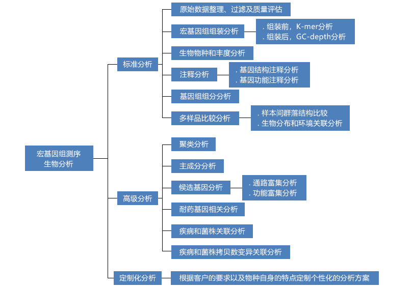 数据分析