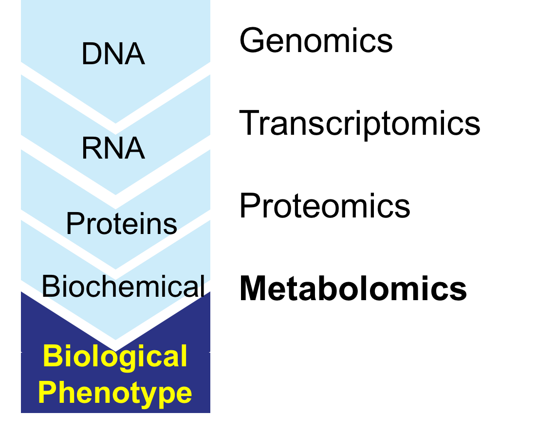 代谢组学和其他组学的关系。