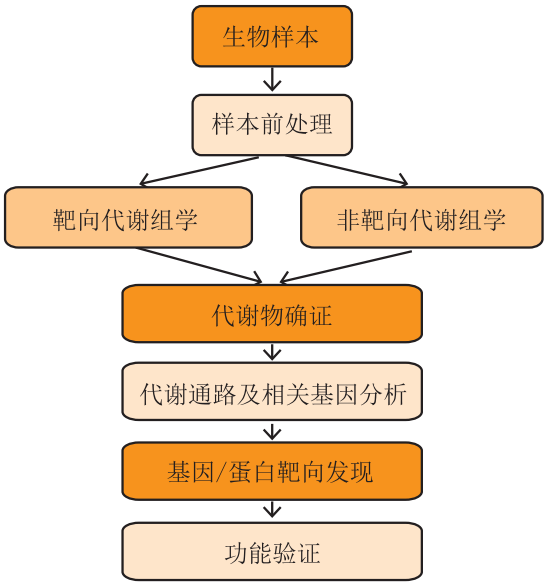 非靶向和靶向代谢组学结合使用