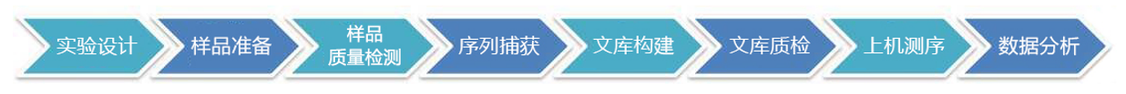 技术流程