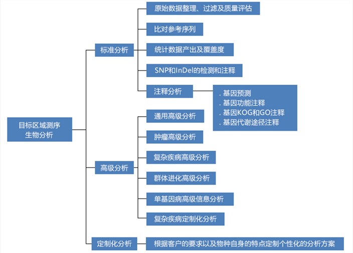 目标区域测序