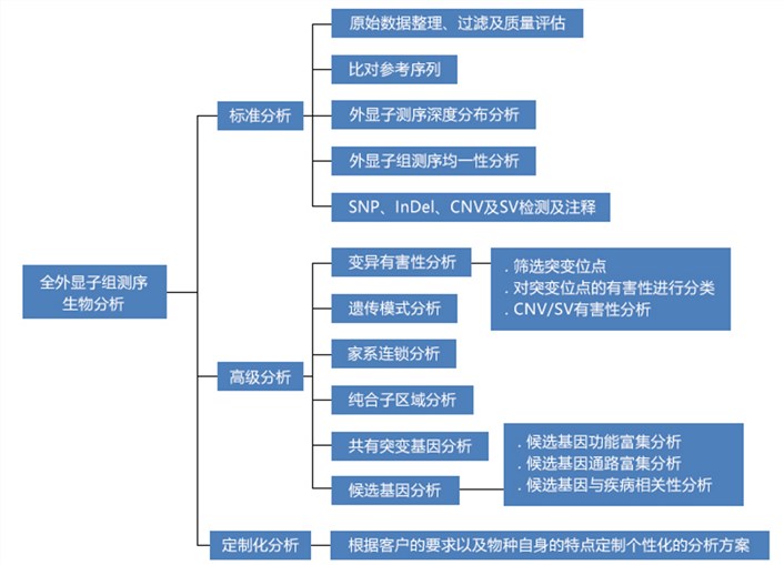 全外显子组测序