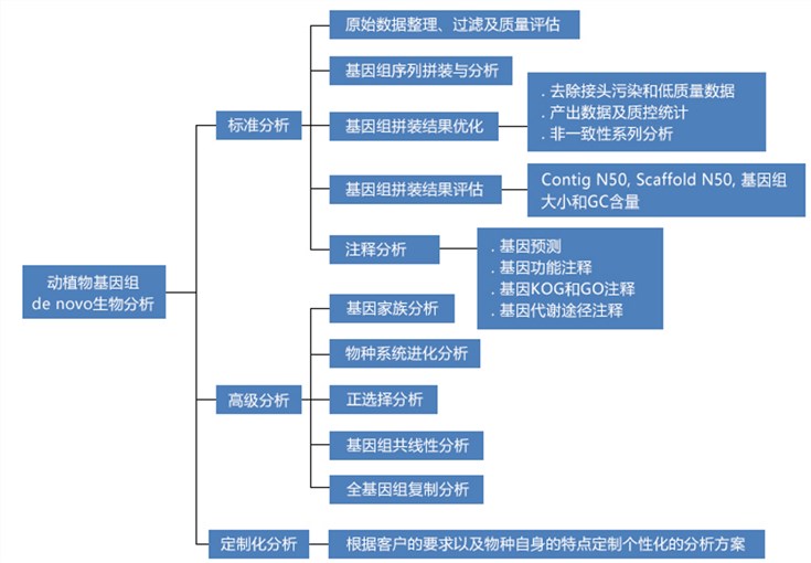 动植物基因组de novo测序数据分析