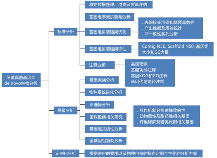 细菌真菌基因组de novo测序数据分析