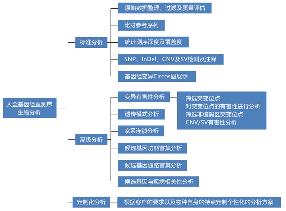 人全基因组重测序数据分析