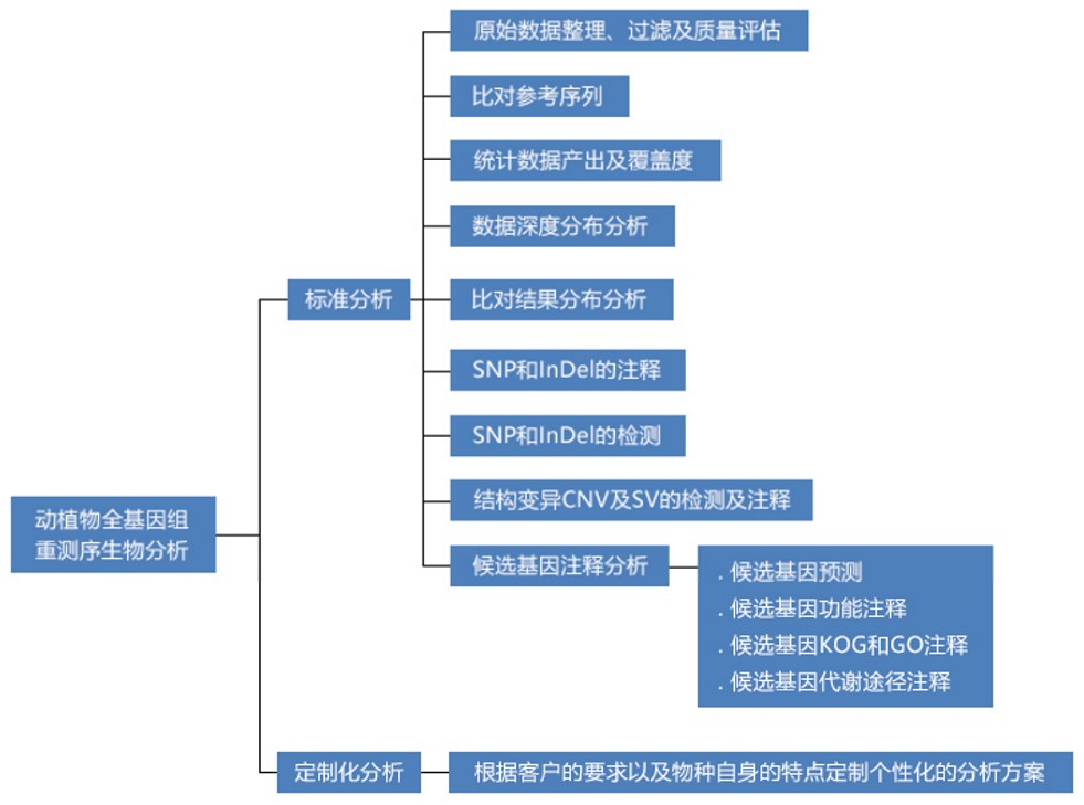 动植物基因组重测序数据分析