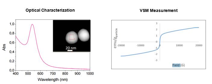 nuclear-shell-type-gold-magnetic-nanoparticles.jpg